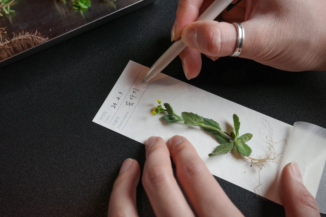 OIMU Plant Collecting Bookmark - Image 13