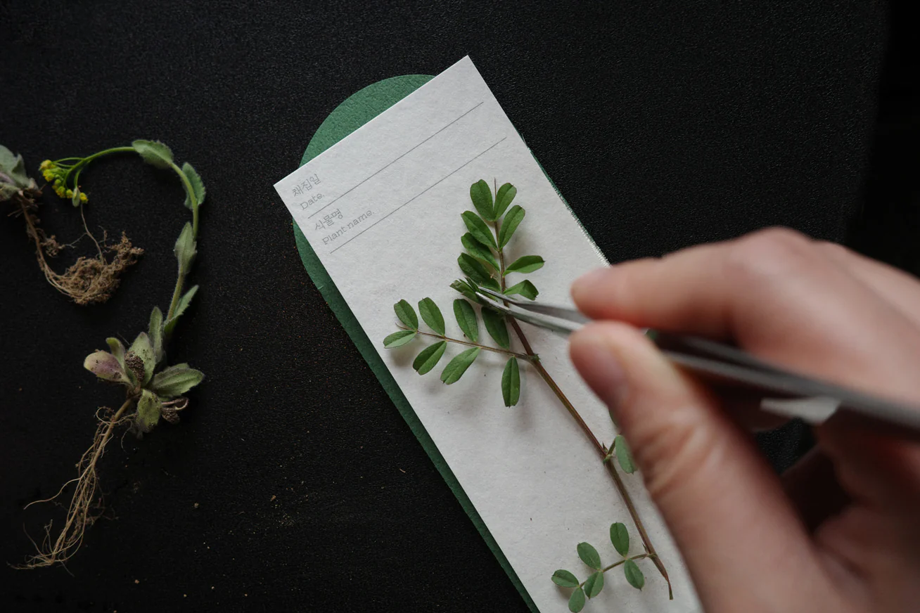 OIMU Plant Collecting Bookmark - Image 14